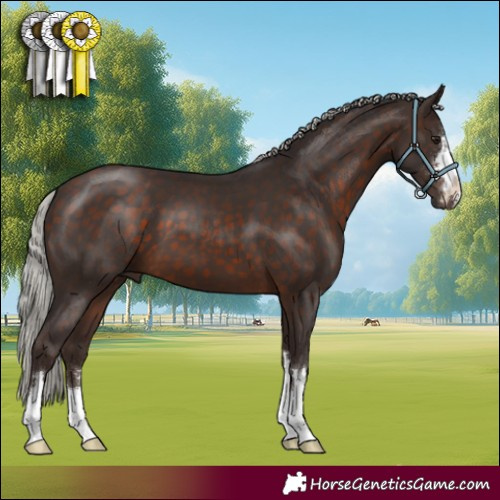 Horse Color:Silver Brown 