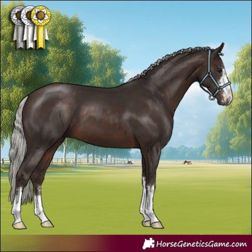 Horse Color:Silver Brown 