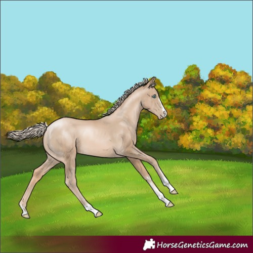 Horse Color:Chocolate Palomino Pearl