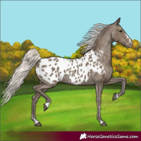 Horse Color:Silver Smoky Black Blanket