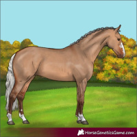 Horse Color:Silver Bay Dun 