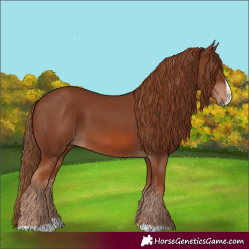 Horse Color:Chestnut Splash 