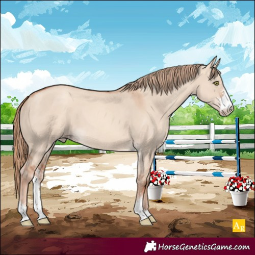 Horse Color:Gold Champagne Dun Sabino 