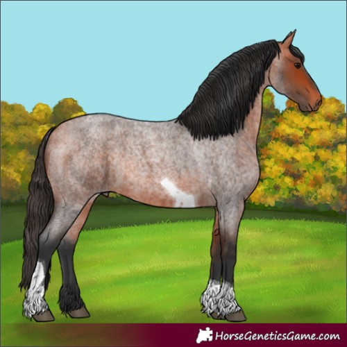 Horse Color:Bay Roan Tobiano Rabicano 