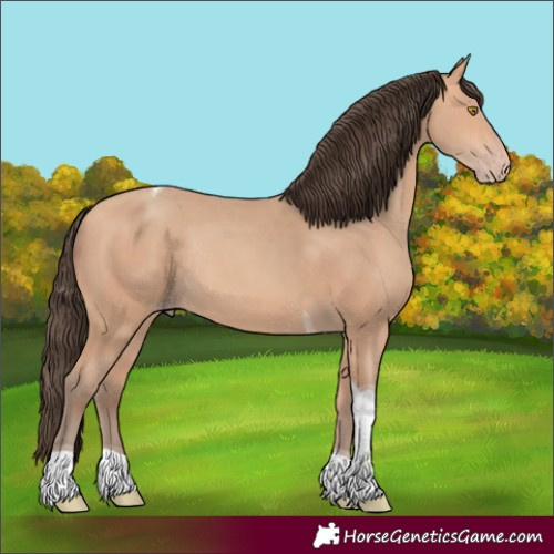 Horse Color:Amber Champagne Tobiano Rabicano 