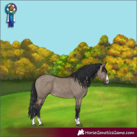 Horse Color:Brown Dun 