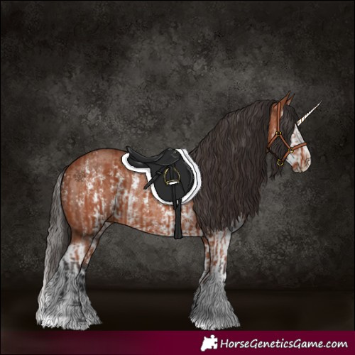 Horse Color:Bay Sabino Rabicano and Bay Sabino Splash Rabicano