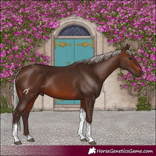 Horse Color:Silver Brown Tobiano 
