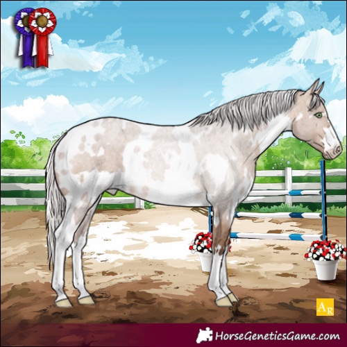 Horse Color:White Spotted Silver Brown Dun 
