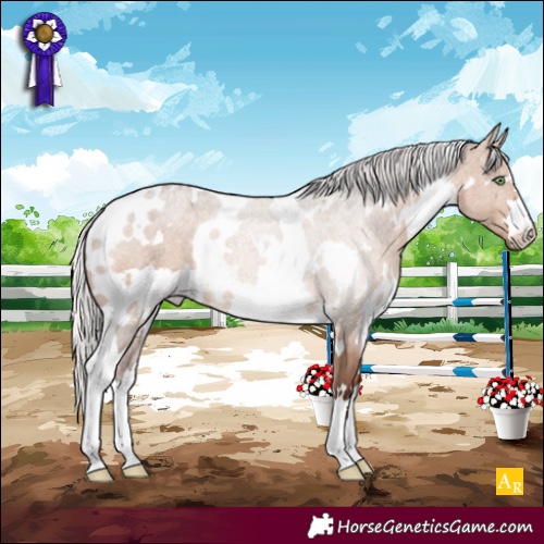 Horse Color:White Spotted Silver Brown Dun