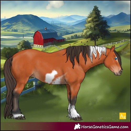 Horse Color:Unknown 