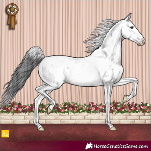 Horse Color:Black Sabino 