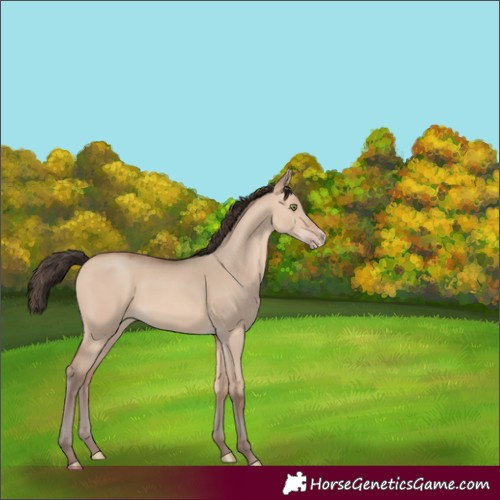 Horse Color:Amber Champagne Dun 