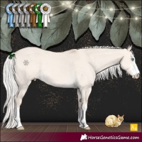 Horse Color:Silver Smoky Creme Dun 