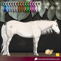 Horse Color:Silver Smoky Creme Dun 