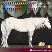 Horse Color:Silver Smoky Creme Dun 
