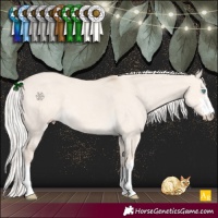 Horse Color:Silver Smoky Creme Dun 