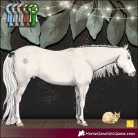 Horse Color:Silver Smoky Creme Dun 