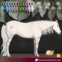 Horse Color:Silver Smoky Creme Dun 