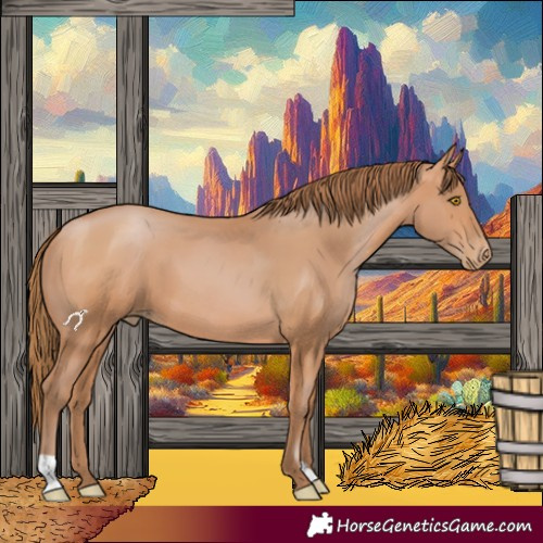 Horse Color:Bay Pearl 