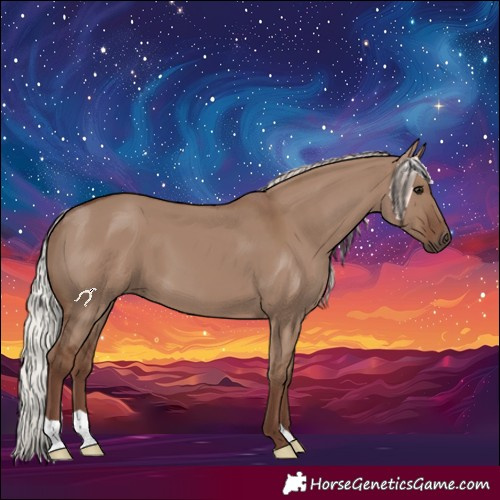 Horse Color:Silver Grullo 