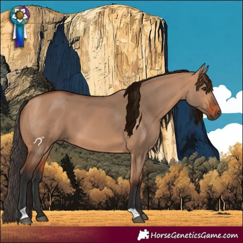 Horse Color:Bay Dun 