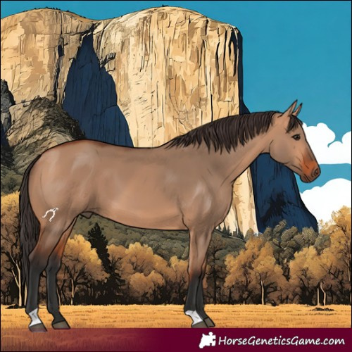 Horse Color:Bay Dun