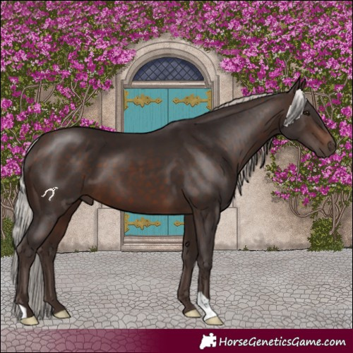 Horse Color:Silver Brown 