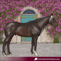 Horse Color:Silver Brown 