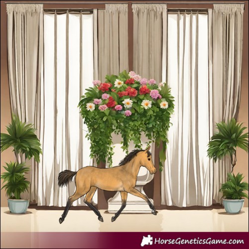 Horse Color:Buckskin 