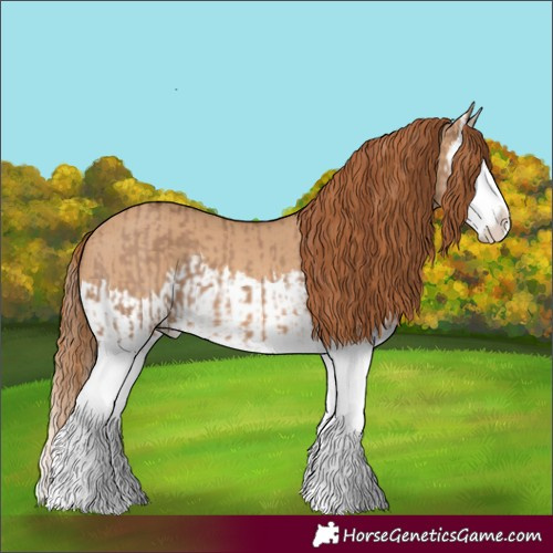 Horse Color:Red Dun Splash  and Red Dun Splash 