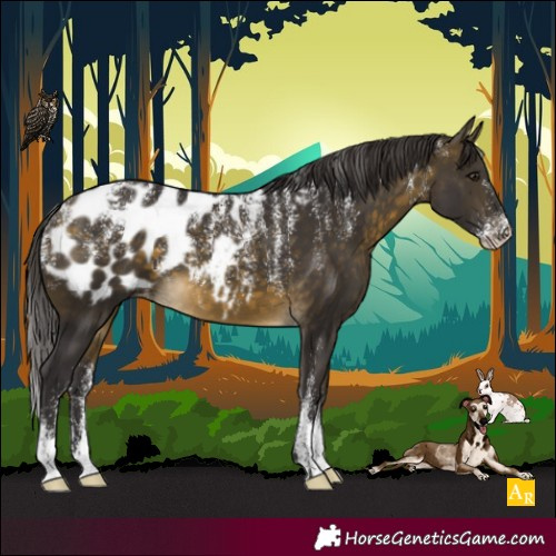 Horse Color:Powder White Buckskin Blanket 