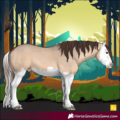 Horse Color:Bay Dun Splash Varnish 