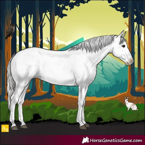 Horse Color:Silver Black Sabino Blanket 