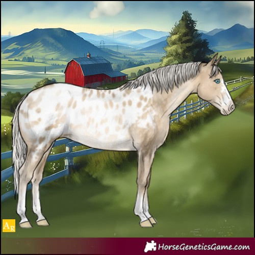 Horse Color:Silver Buckskin Pearl Blanket Rabicano 