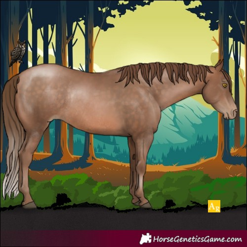 Horse Color:Brown Pearl Rabicano 