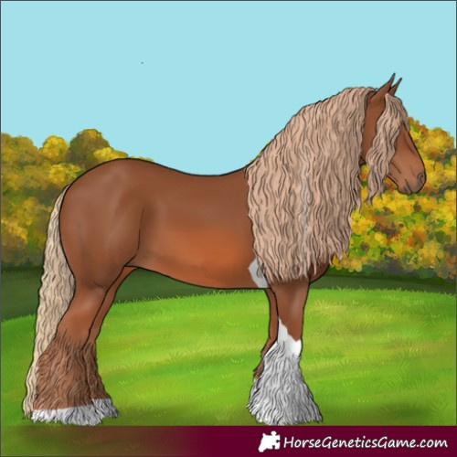 Horse Color:Chestnut Tobiano 