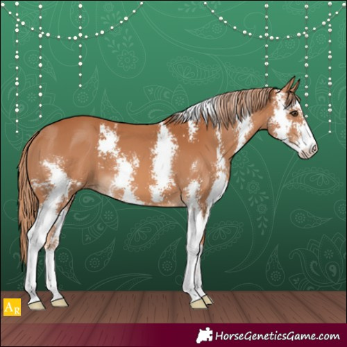 Horse Color:Chestnut Sabino