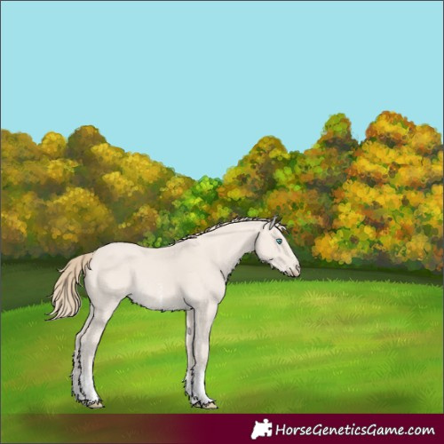 Horse Color:Smoky Creme Dun Sabino