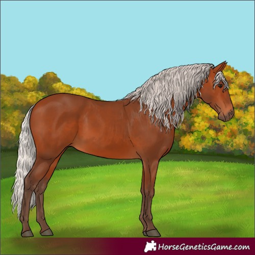 Horse Color:Silver Bay 
