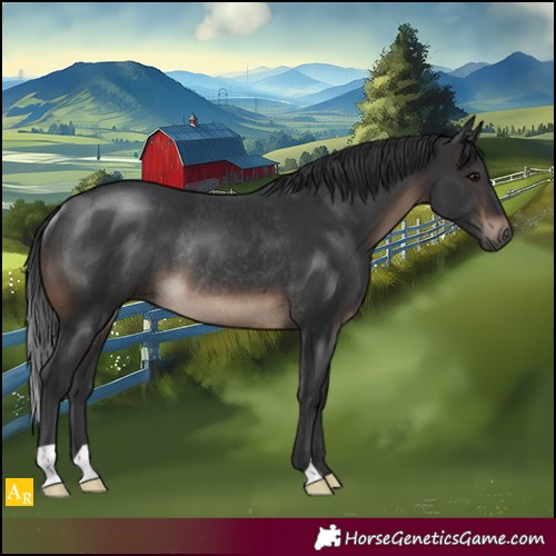 Horse Color:Brown Rabicano 