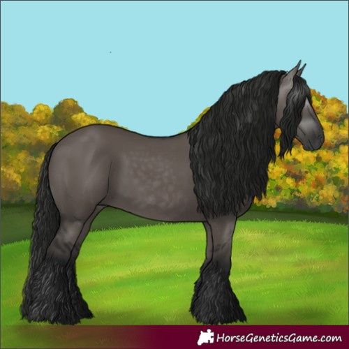 Horse Color:Gray Grullo 