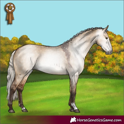 Horse Color:Gray Silver Bay Dun Sabino 