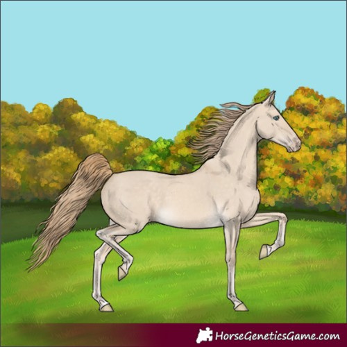 Horse Color:Perlino Dun 