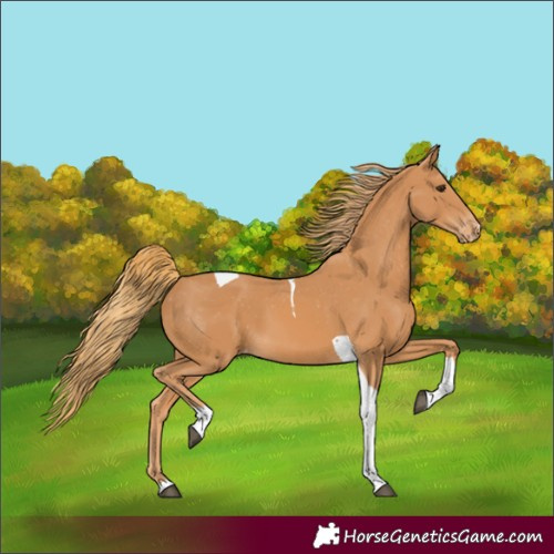 Horse Color:Chestnut Tobiano Varnish 