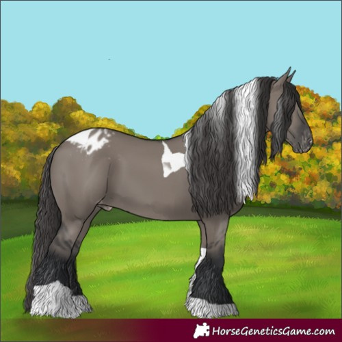 Horse Color:Grullo Tobiano Varnish 