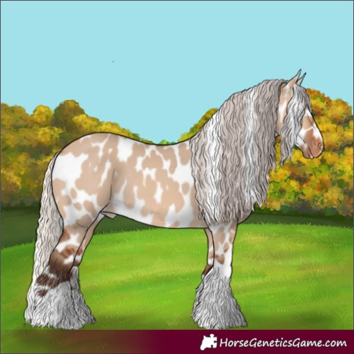 Horse Color:Silver Bay Dun Tobiano Appaloosa Rabicano 