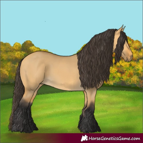 Horse Color:Buckskin Dun 