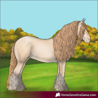 Horse Color:Smoky Black Pearl 