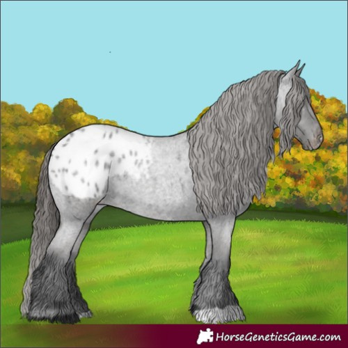 Horse Color:Blue Roan Blanket 